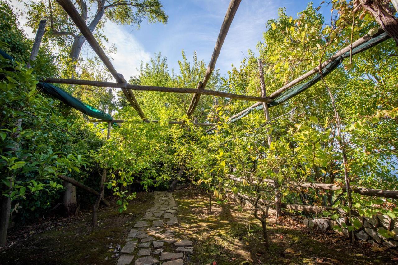 Villa Casa Angelica Sorrento Esterno foto
